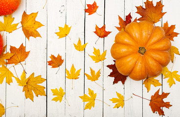 Thanksgiving background: Pumpkins and fallen leaves on white wooden background.  Halloween or Thanksgiving day or seasonal autumnal.  Flat lay. Top view