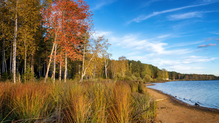 осенний пейзаж на берегу реки с лесом и камышом Россия, Урал, © 7ynp100