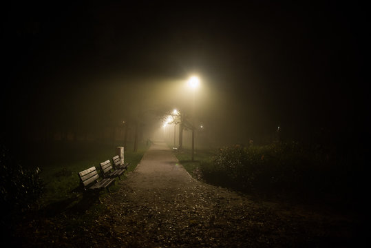 fog in the park, night, soft focus, high iso,