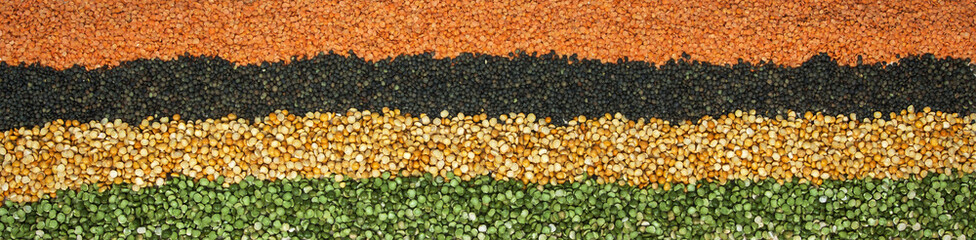 Health food panorama - long banner for nutritious healthy food backgrounds and designs.