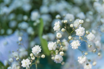 wedding flowers