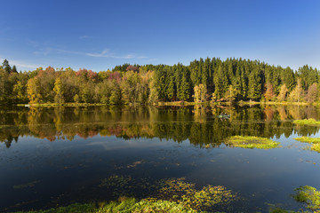 See im Spiegelbild des Herbst