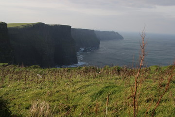 Fototapeta na wymiar Irish Cliffs of Moher