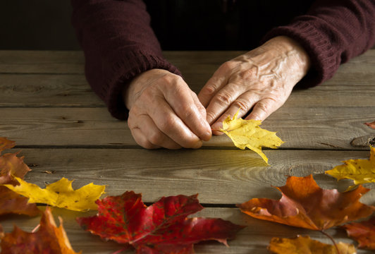 Hands of an old woman holding a yellow leaf