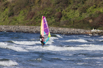 surfer windsurfer an der ostsee