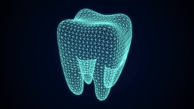 Structure from motion. Structure from motion