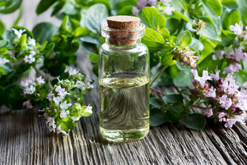 A bottle of oregano essential oil with blooming oregano