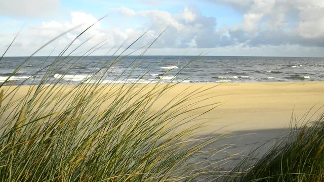 Ostseestrand mit Strandhafer