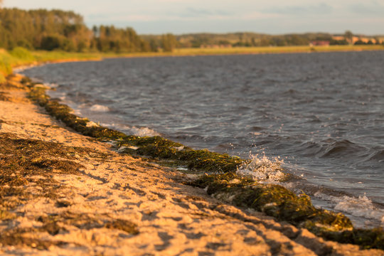 Souh Baltic Sea