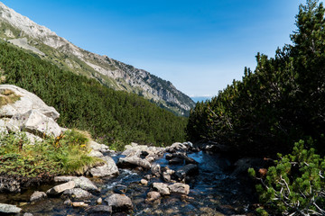 Pirin Mountain - Bulgaria