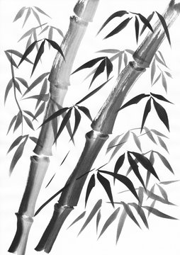 Watercolor of two bamboo stalks painted with grunge strokes. Black gouache on white paper study.