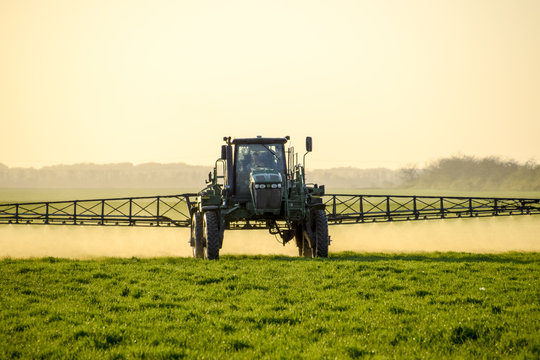 Tractor On The Sunset Background. Tractor With High Wheels Is Making Fertilizer On Young Wheat. The Use Of Finely Dispersed Spray Chemicals