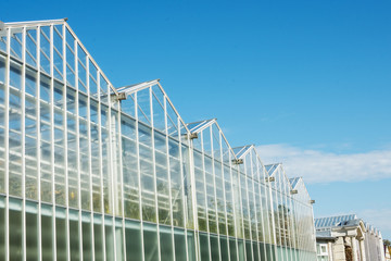 glass facade of greenhouse in garden against blue cloudy sky