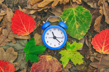 Autumn time. Fallen dry leaves on the ground. Colorful foliage and an alarm clock. Back to school. Green, red and yellow leafs. Beautiful nature background. Goodbye autumn. Discounts and sale.