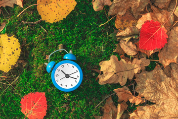 Autumn time. Fallen dry leaves on the ground. Colorful foliage and an alarm clock. Back to school. Green, red and yellow leafs. Beautiful nature background. Goodbye autumn. Discounts and sale.