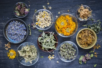  Herbs © Elenathewise