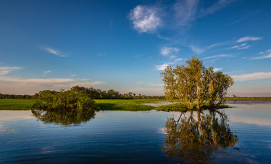 Australian Wetlands