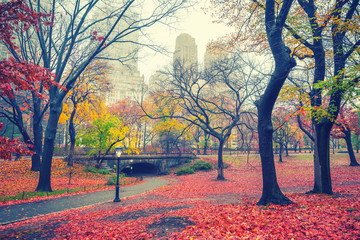 Central park at rainy morning, New York City, USA