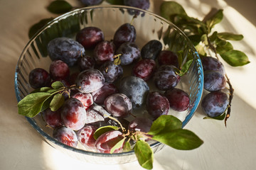 Fresh plums in plate on white table