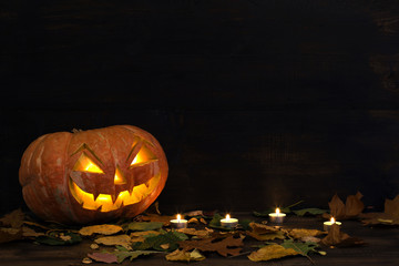Old pumpkin Halloween on a dark background.