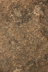 The gray wall of cement for a designer