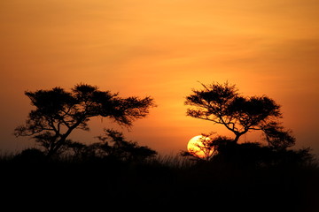 nairobi sunrise