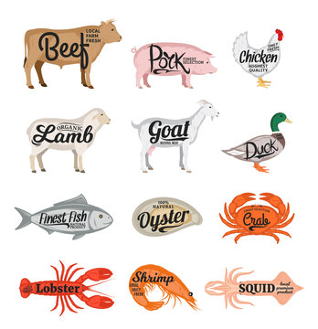 Vector farm animals and seafood collection. Butcher shop and seafood shop icons