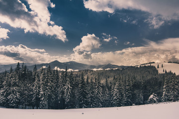 Landscape in winter mountains.View of  foresty hills covered by snow. Old photo style.