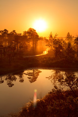 Misty mystical sunrise over the swamps