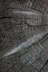 Vertical viewof front view of old wood background or texture