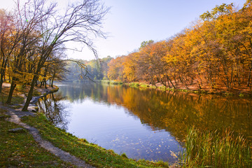 Naklejka premium Autumn Landscape. Park in Autumn. The bright colors of autumn in the park by the lake.