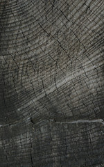 Vertical viewof front view of old wood background or texture