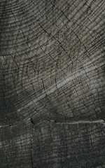 Fototapeta premium Vertical viewof front view of old wood background or texture