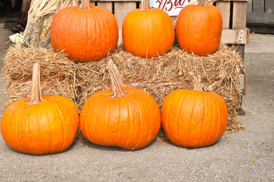six, local, ripe organic pumpkins on a bail of hay, for sale at an autumn, Oktoberfest display 