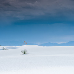 White Sands New Mexico