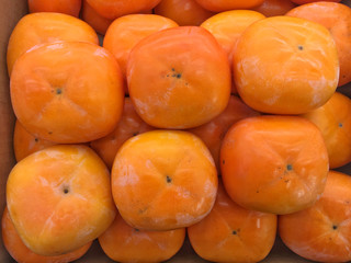 japanese ripe persimmon group 