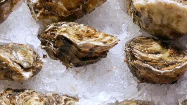 Large selection of fresh oysters and other seafood in the ice at the fish market counter in Spain close up