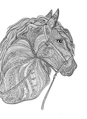 Horse