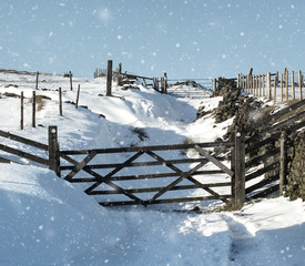 snow on a country lane with falling snow and wooden gates and fences in yorkshire moorland