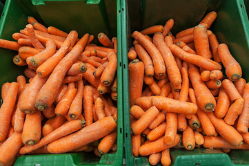A lot of carrot in the baskets at market