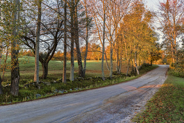 Country Road
