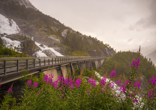 Paisajes en el camino de Stavanger a Odda con cascadas por la carretera y flores rosas en primer plano en las vacaciones del verano de 2017 .Noruega