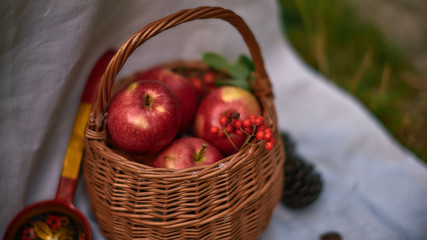 apples