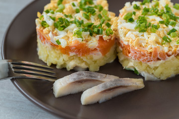 Szuba - herring under the coat -  traditional multilayered polish salad from herring, potatoes, carrots and eggs decorated with chives.