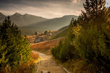 Fototapeta Hala Gąsienicowa w Tatrach, pora roku - jesień obraz