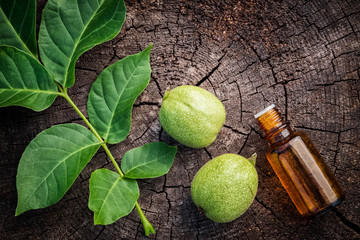 Walnuts, bottle of Juglans regia tincture. Homeopathy medicine. Top view, flat lay.