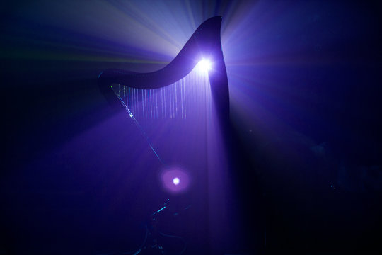 Electro harp in the rays of light