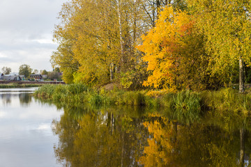 Autumn Landscape. Autumn trees in the park at the sunset