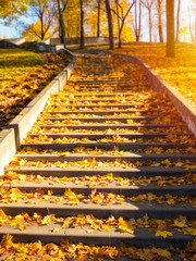 Stone stair path on a sunny autumn day
