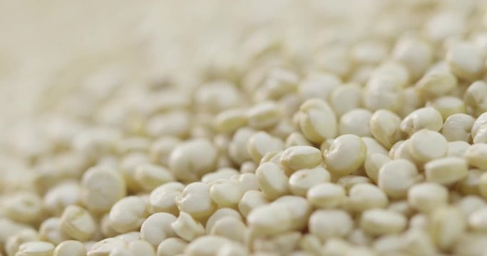 Ultra close up of Quinoa grains shallow focus